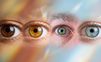 Augenfarben und Melanin