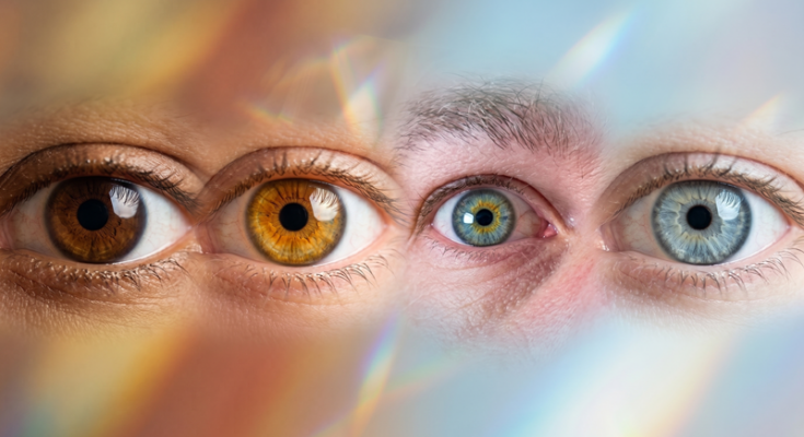 Augenfarben und Melanin